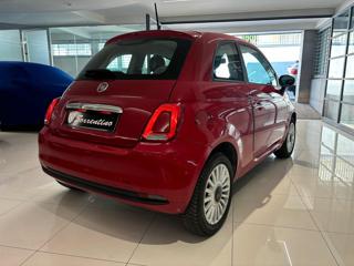 FIAT 500 usata, con Alzacristalli elettrici