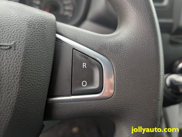 RENAULT Master usata 22