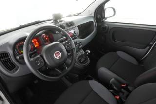 FIAT Panda usata 7