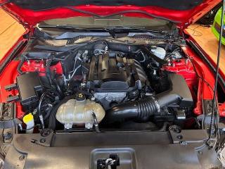 FORD Mustang usata, con Regolazione elettrica sedili