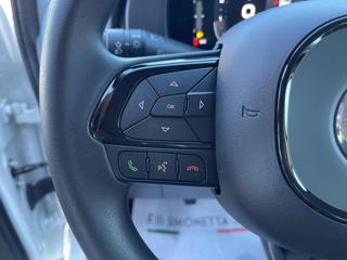 FIAT Panda usata, con Controllo vocale