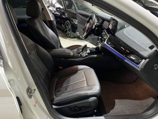 BMW 520 usata, con Fendinebbia