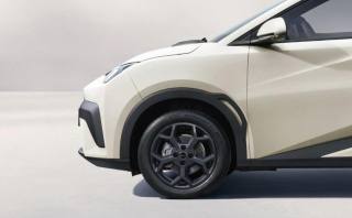 BYD Dolphin Surf usata, con Servosterzo
