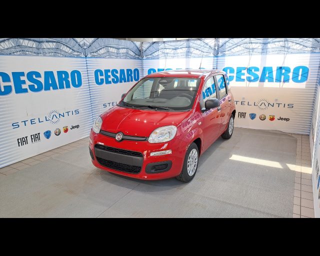 FIAT New Panda usata, con Airbag laterali