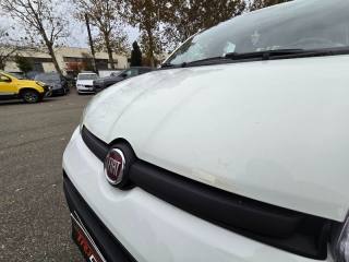 FIAT Panda usata 13