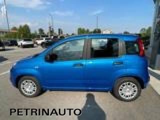 FIAT Panda usata, con Alzacristalli elettrici
