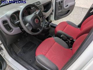 FIAT Panda usata, con Fendinebbia