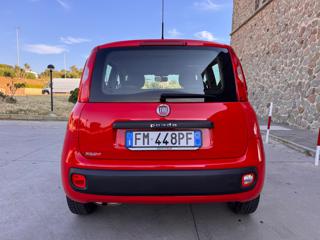 FIAT Panda usata 29
