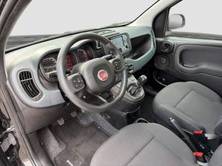 FIAT Panda usata 8
