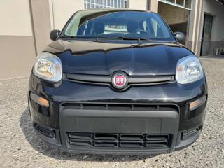 FIAT Panda usata, con Airbag