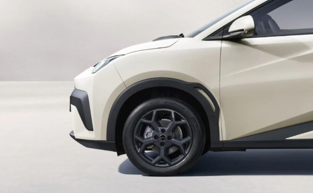 BYD Dolphin Surf usata, con Alzacristalli elettrici