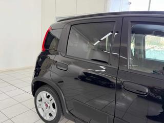 FIAT Panda usata 13