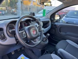FIAT Panda usata, con Cronologia tagliandi