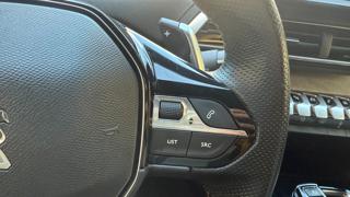 PEUGEOT 3008 usata, con Autoradio