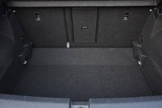 VOLKSWAGEN T-Roc usata, con Cruise Control