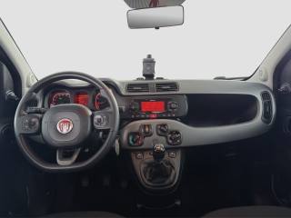 FIAT Panda usata 10