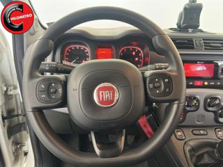 FIAT Panda Cross usata, con Climatizzatore