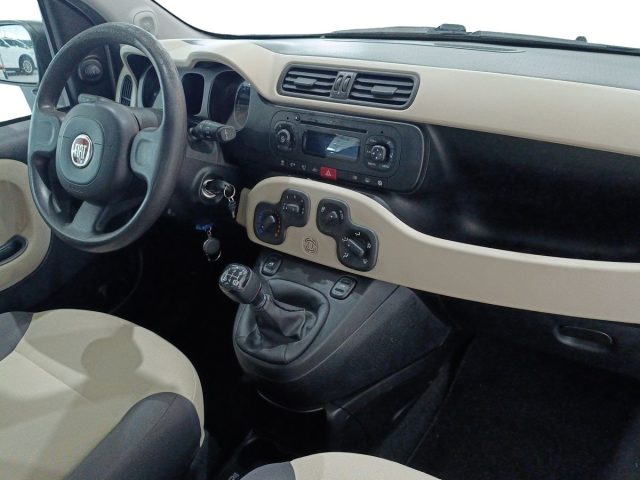 FIAT Panda usata, con Airbag testa