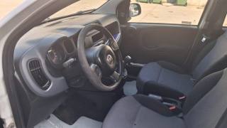 FIAT Panda usata, con Airbag laterali