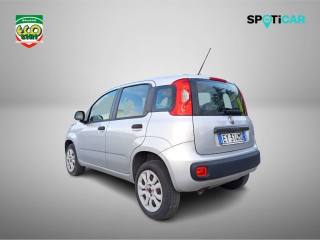 FIAT Panda usata, con Controllo trazione
