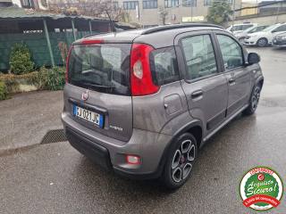 FIAT Panda usata, con Alzacristalli elettrici