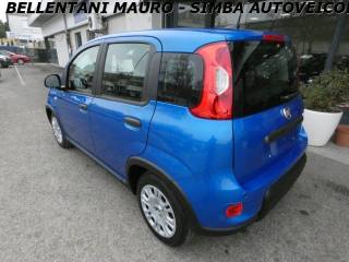 FIAT Panda usata, con Chiusura centralizzata