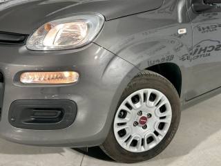 FIAT Panda usata, con Chiusura centralizzata