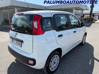 FIAT Panda usata, con Chiusura centralizzata