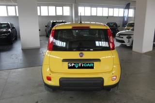 FIAT Panda usata, con Boardcomputer