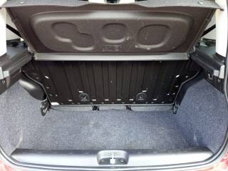 FIAT Panda Cross usata, con Controllo trazione