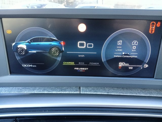 PEUGEOT 3008 usata, con Vetri oscurati