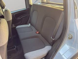 FIAT Panda usata 20