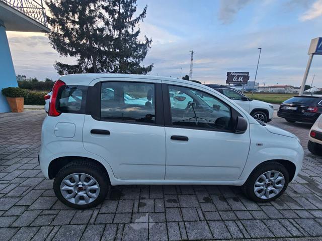 FIAT Panda usata, con Chiusura centralizzata