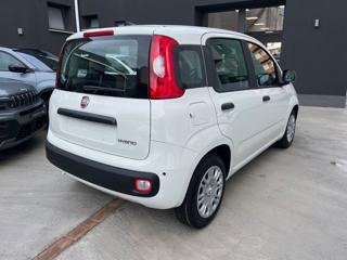 FIAT Panda usata, con Airbag Passeggero