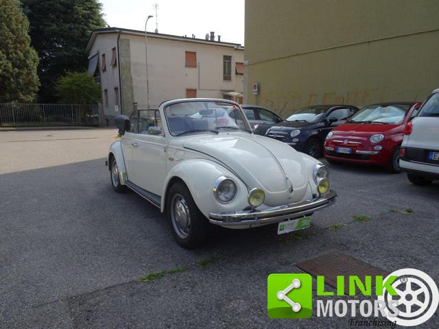 VOLKSWAGEN Maggiolone usata 13