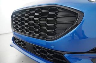 FORD Puma usata, con Fendinebbia