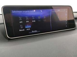 LEXUS RX 450h usata, con Immobilizzatore elettronico
