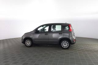 FIAT Panda usata 5
