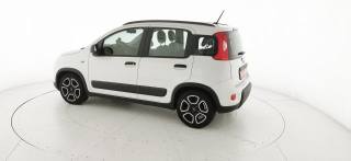 FIAT Panda usata 26