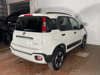 FIAT Panda Cross usata, con Airbag Passeggero