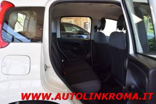 FIAT Panda usata 16