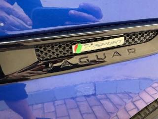 JAGUAR F-Pace usata, con Servosterzo