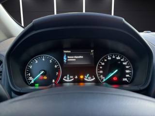 FORD EcoSport usata, con Cruise Control