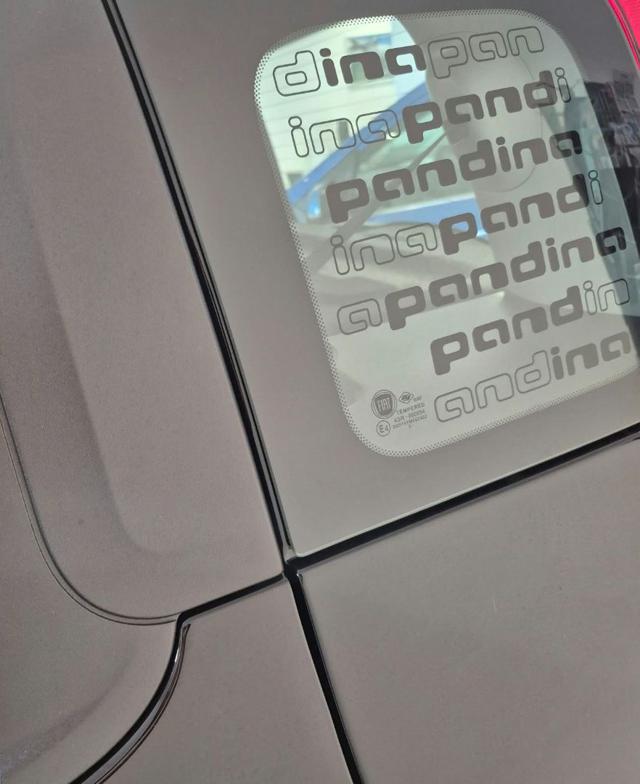 FIAT Pandina usata, con Climatizzatore