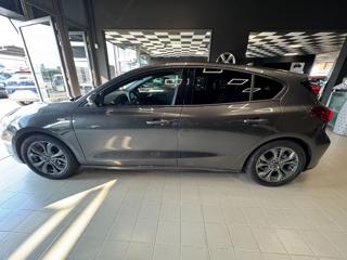 FORD Focus usata, con Airbag Passeggero