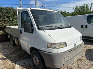 FIAT Ducato usata 2