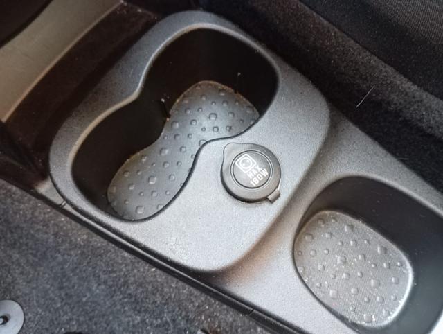 FIAT Panda Cross usata, con Airbag testa