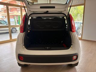 FIAT Panda usata 19