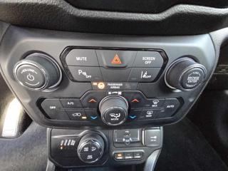JEEP Renegade usata, con ESP