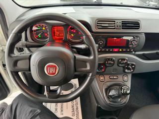 FIAT Panda usata, con Fendinebbia